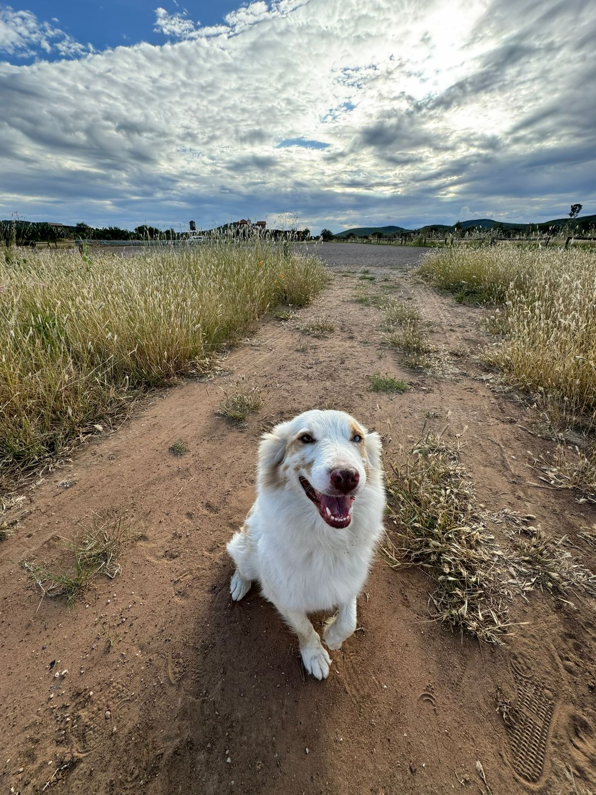 Experiencia en el Terregal