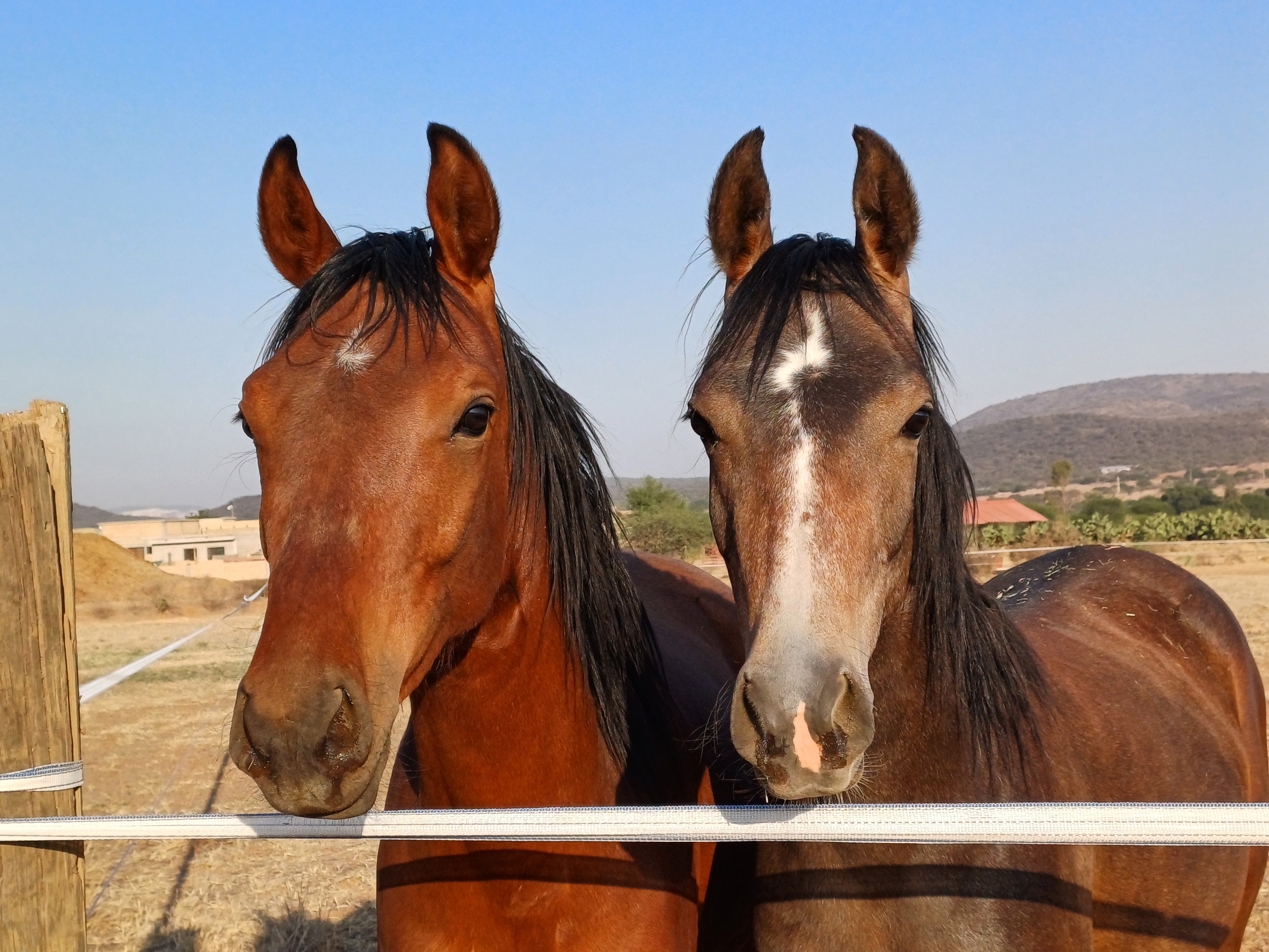 Evento de experiencia